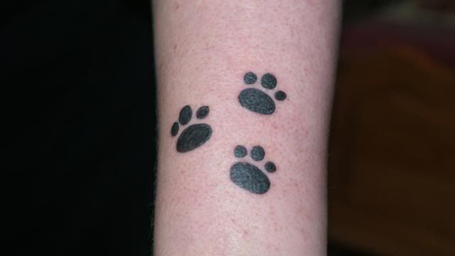4thMarch2009008.jpg