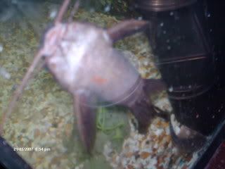 Picture124.jpg