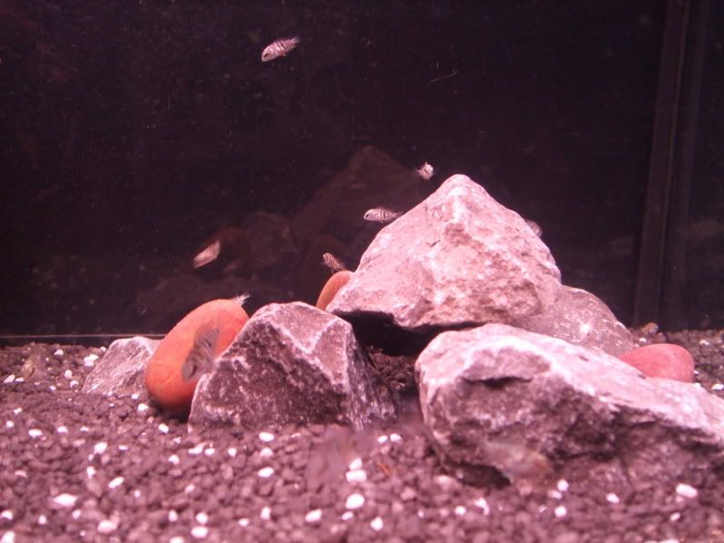 DSCF2208.jpg