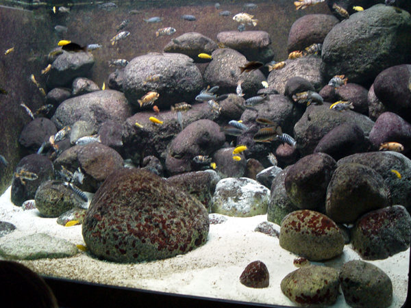 7567_4d667b43cc235.jpg