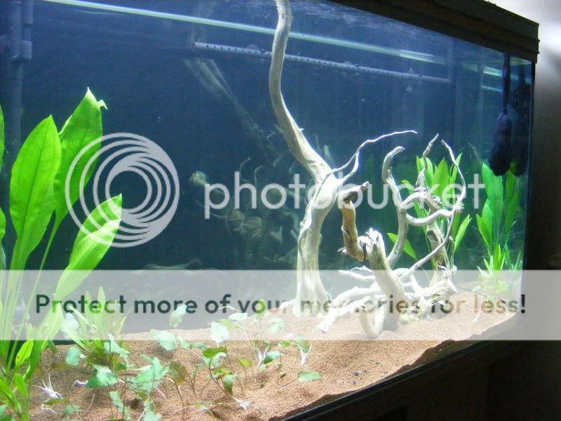 DSCF9269.jpg