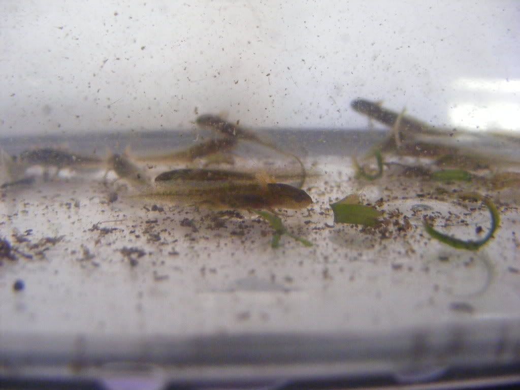 DSCF0655.jpg