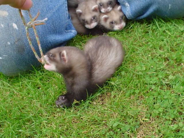 DSC00449.jpg