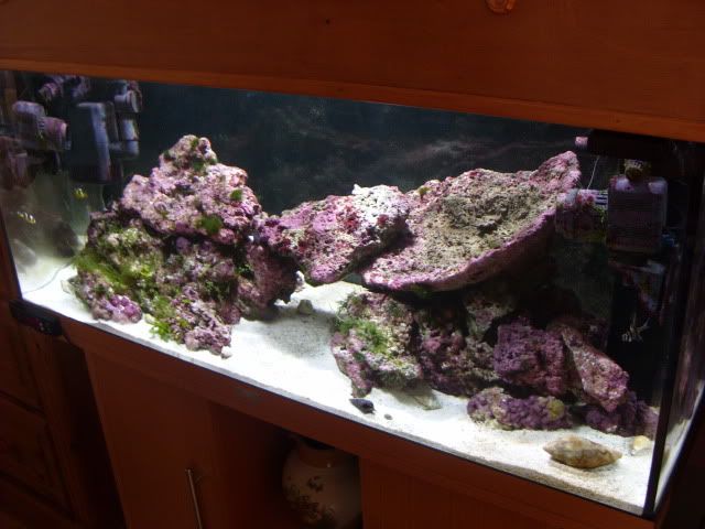 SN850545.jpg