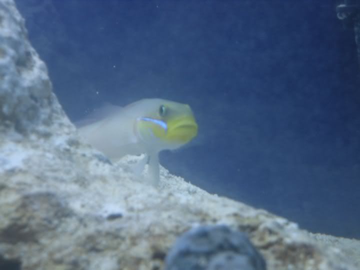 SDC10294.jpg