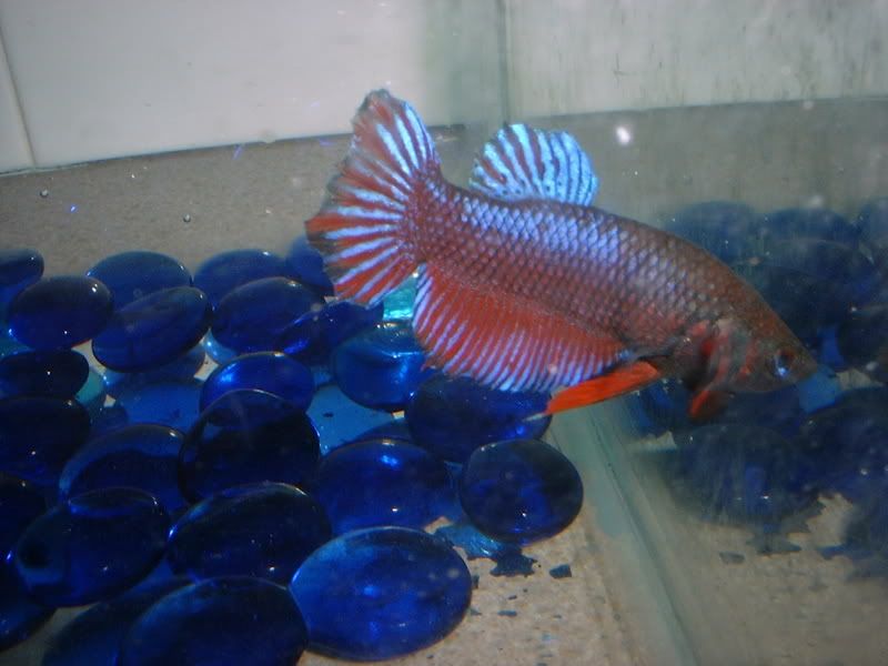 DSCF1444.jpg