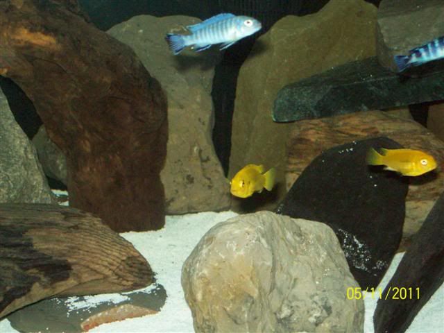 102_3691Small.jpg