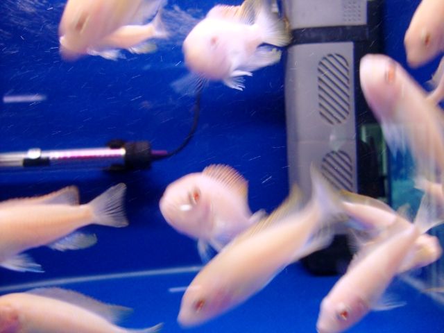 DSC01345.jpg