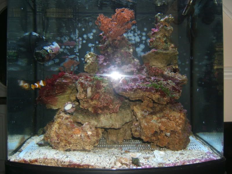 DSCF1474.jpg