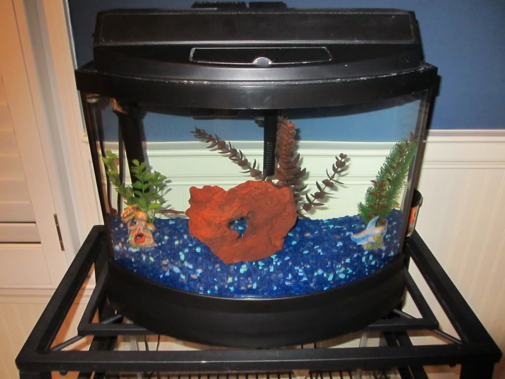 fishpics2004-1.jpg