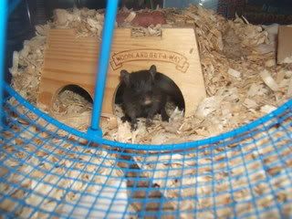 DSCF1319.jpg