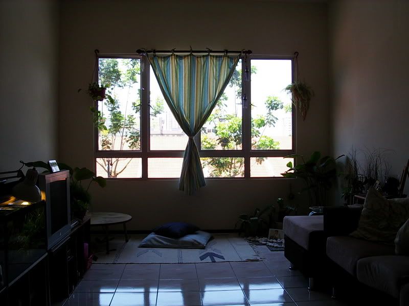 IMGP1288.jpg
