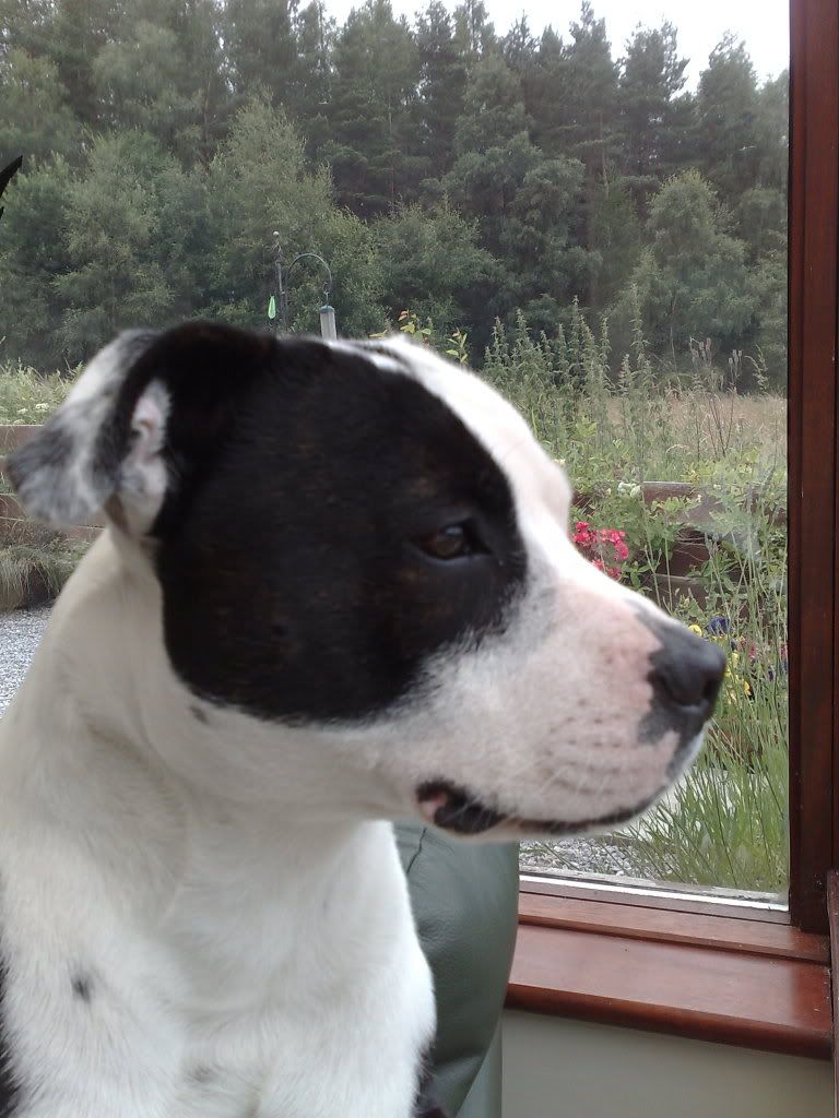 09072009848.jpg