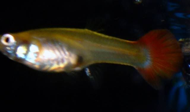 DSCF4122.jpg