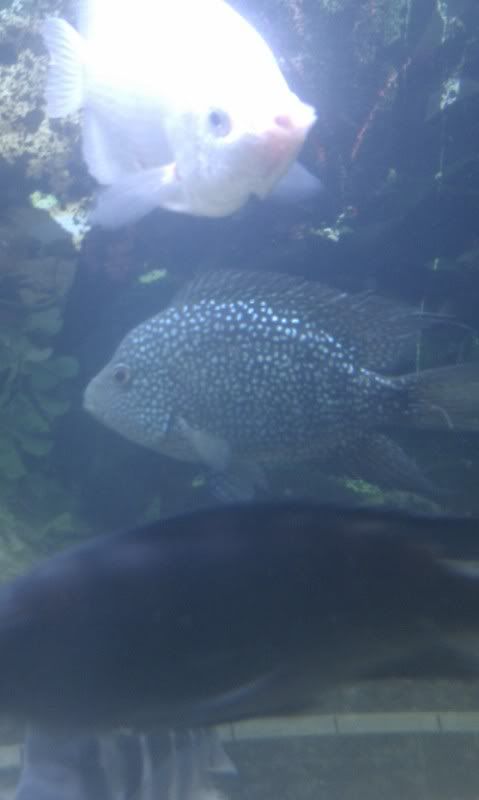 IMAG0530.jpg