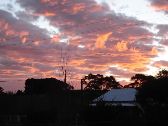 NewSunset2.jpg