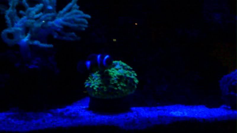 20101211_010.jpg