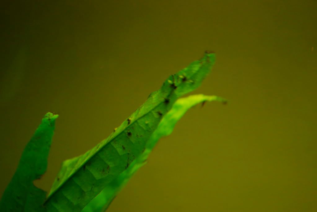DSC_0163.jpg