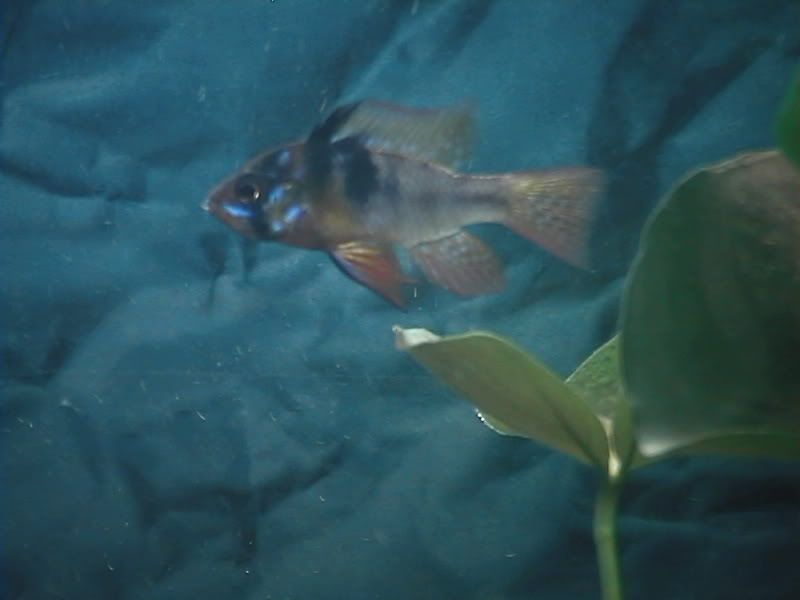 DVC01804.jpg