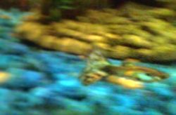 Picture0618130906_1.jpg