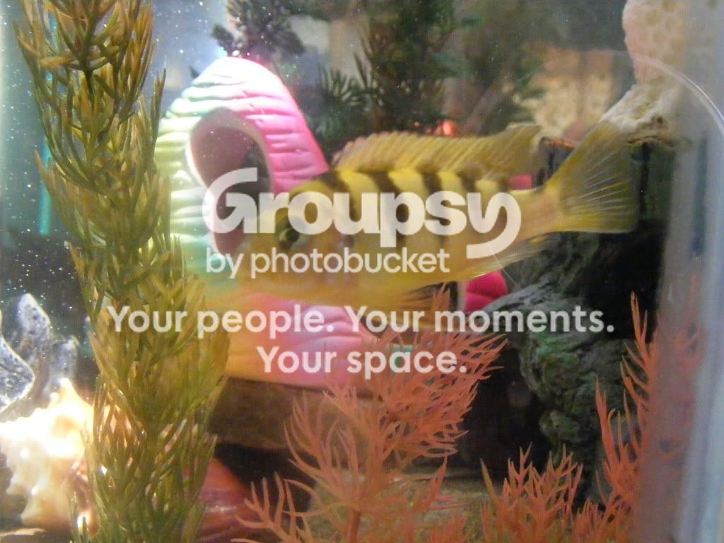 DSCF1484.jpg