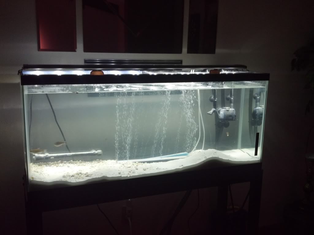 2012-03-29_10-32-02_189.jpg
