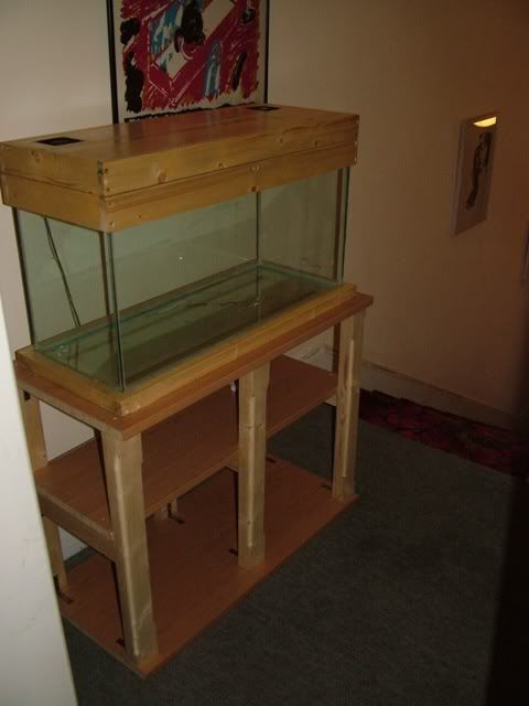 DSCF4049.jpg