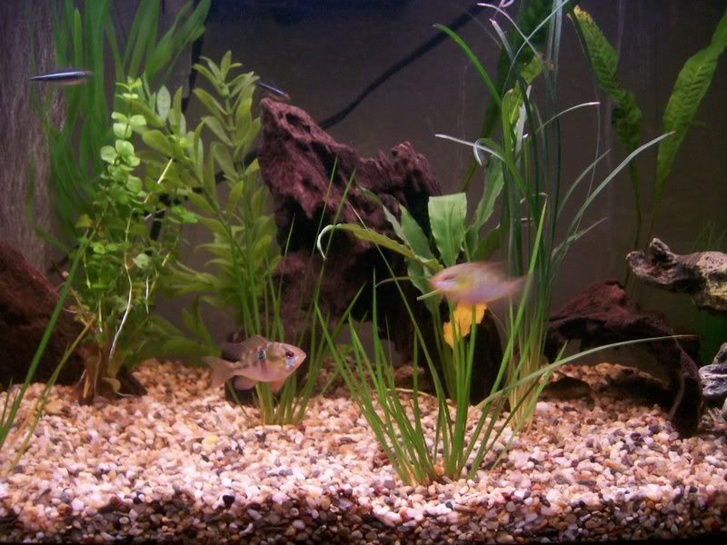 fishpic6.jpg