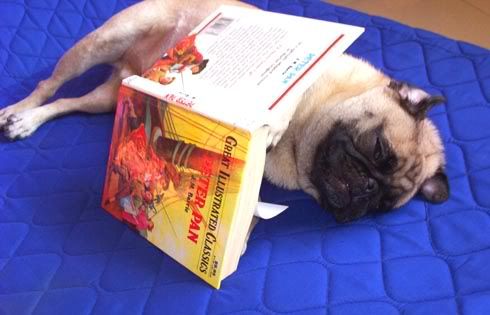Pugbook03.jpg