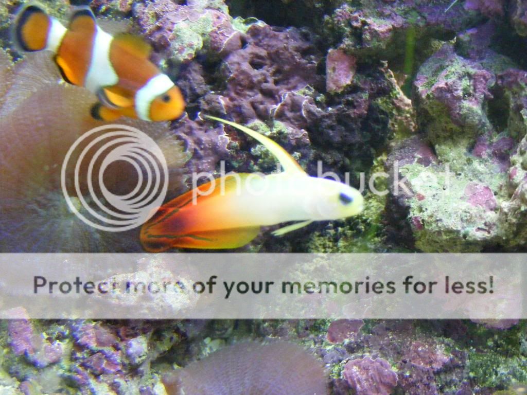 DSCF2861.jpg