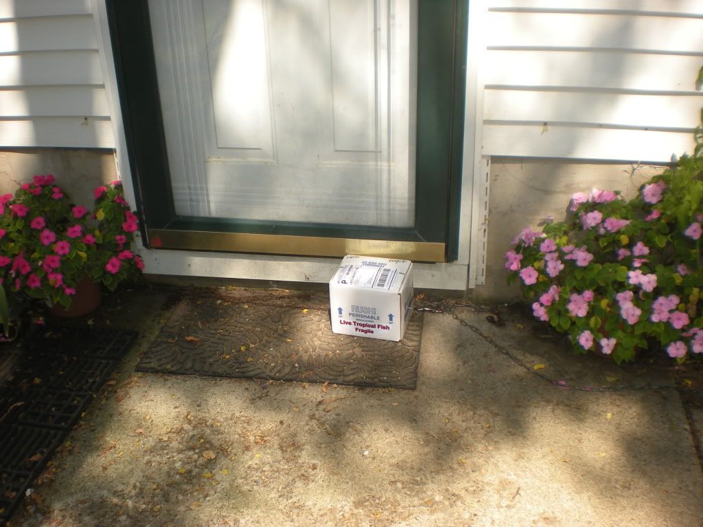 DSCN2253.jpg
