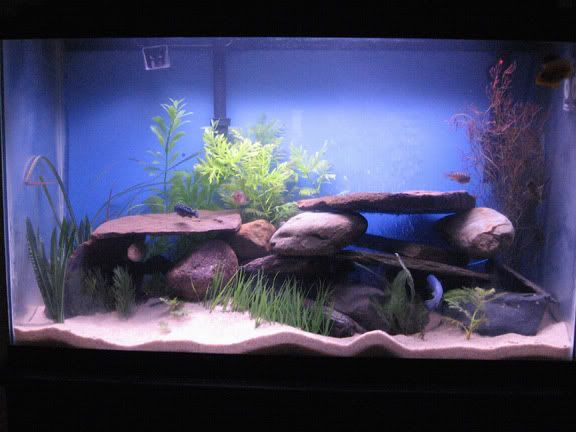 tank6.jpg
