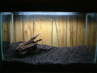 DSCF0381.jpg