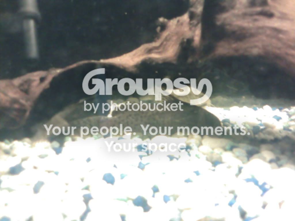 IMG283.jpg