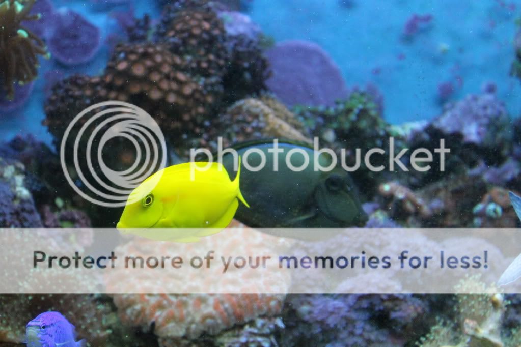 IMG_1173.jpg