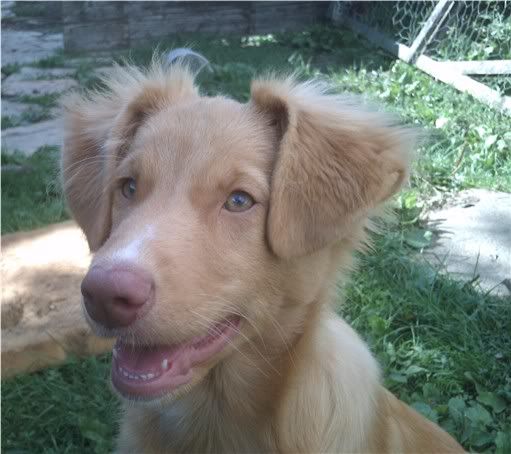 IMAG0144.jpg