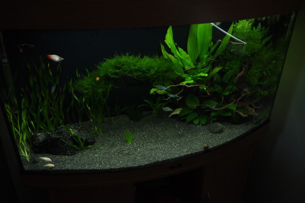 P1000367.jpg