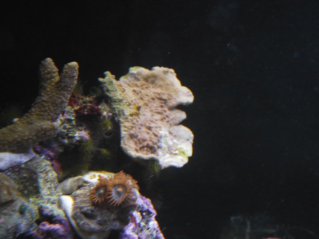 DSCF2025.jpg