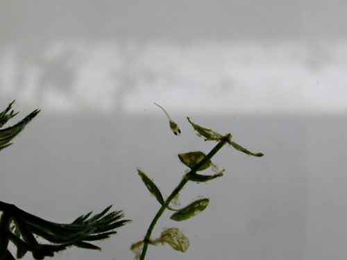 DSCN3710.jpg