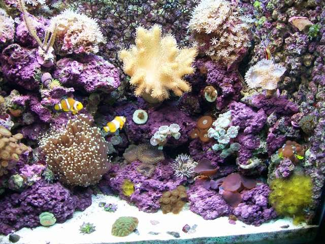 Picture008.jpg