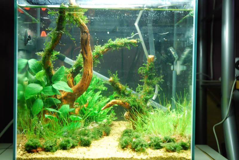 hardscape2.jpg