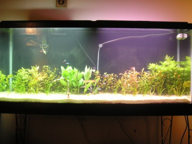 P1010002.jpg