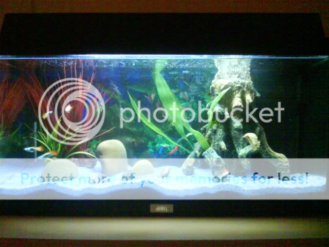 DSC00606-1.jpg