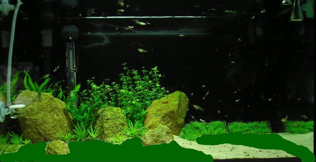 P1010011-1.jpg