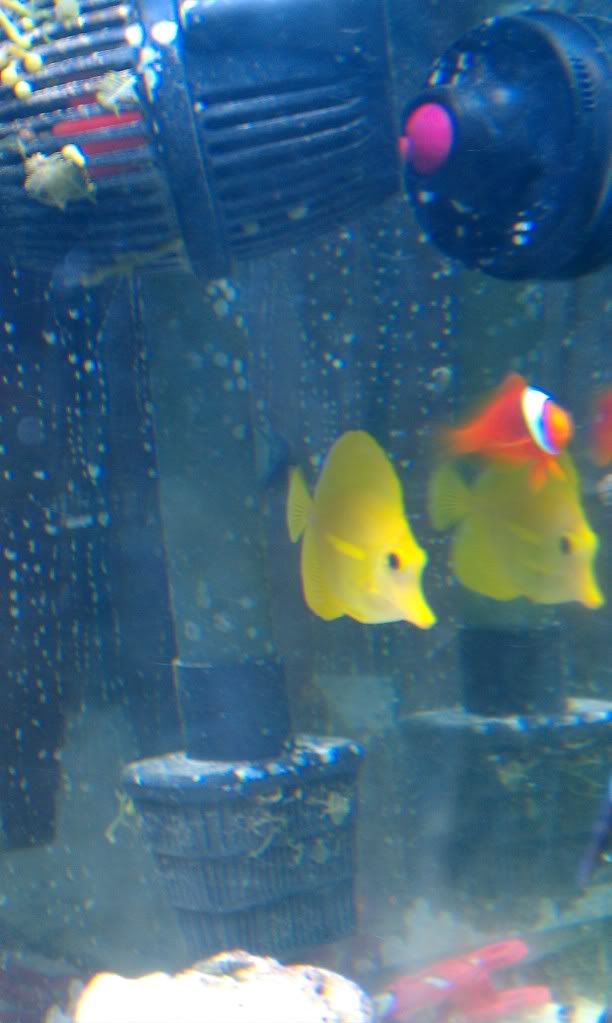 IMAG0117.jpg