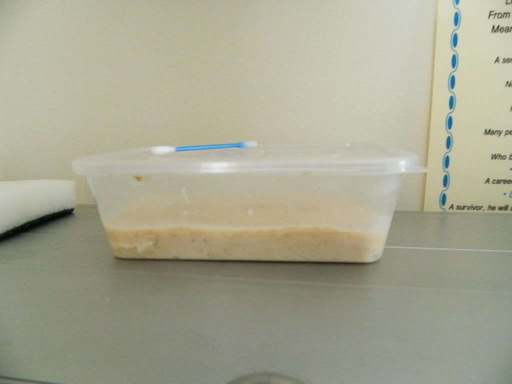 DSCN1036.jpg