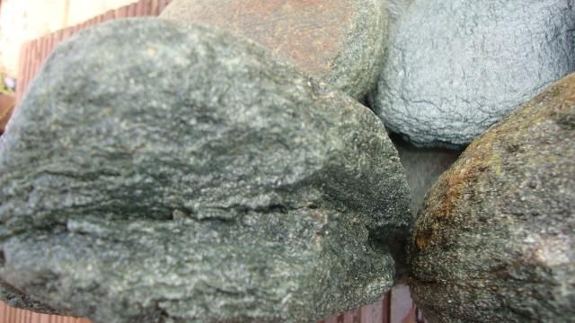 DSC02570.jpg
