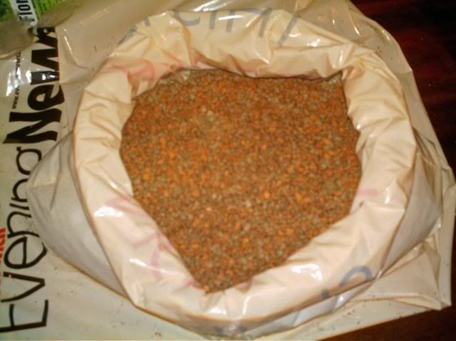 IMAG0003-2.jpg