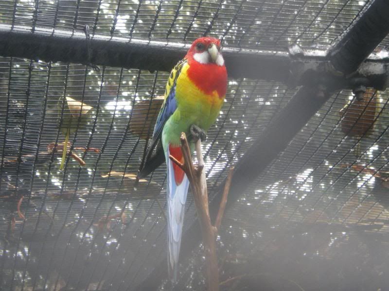 IMGP2318.jpg