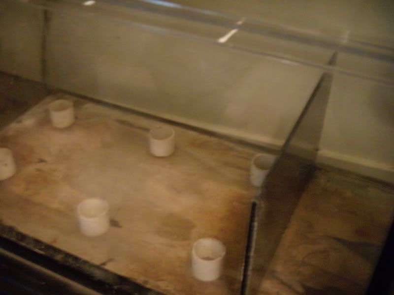 DSCN1095.jpg
